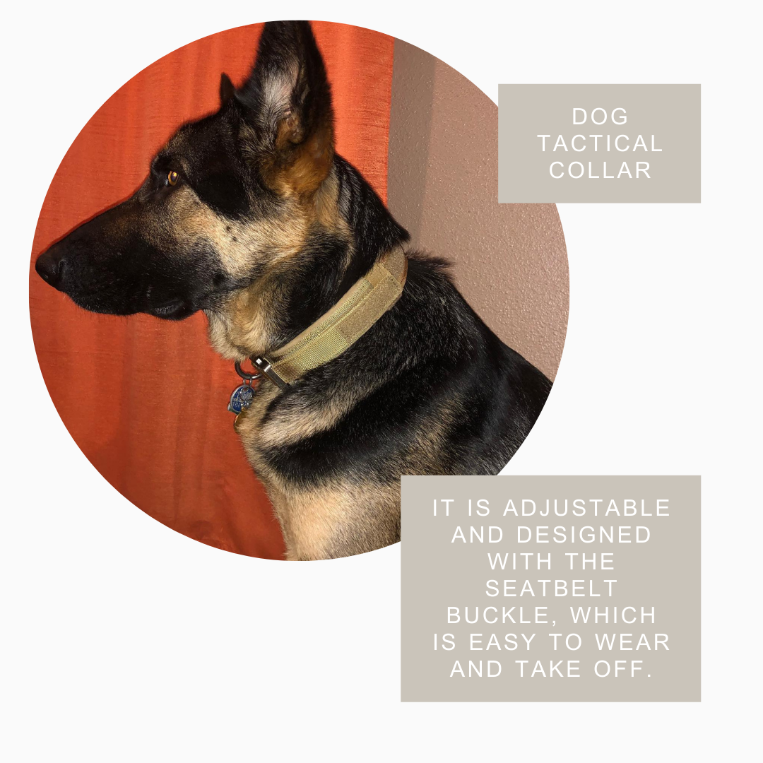 Fast Shipping Durable Military Tactical Dog Collar cs06jp-nn.myshopify.com
