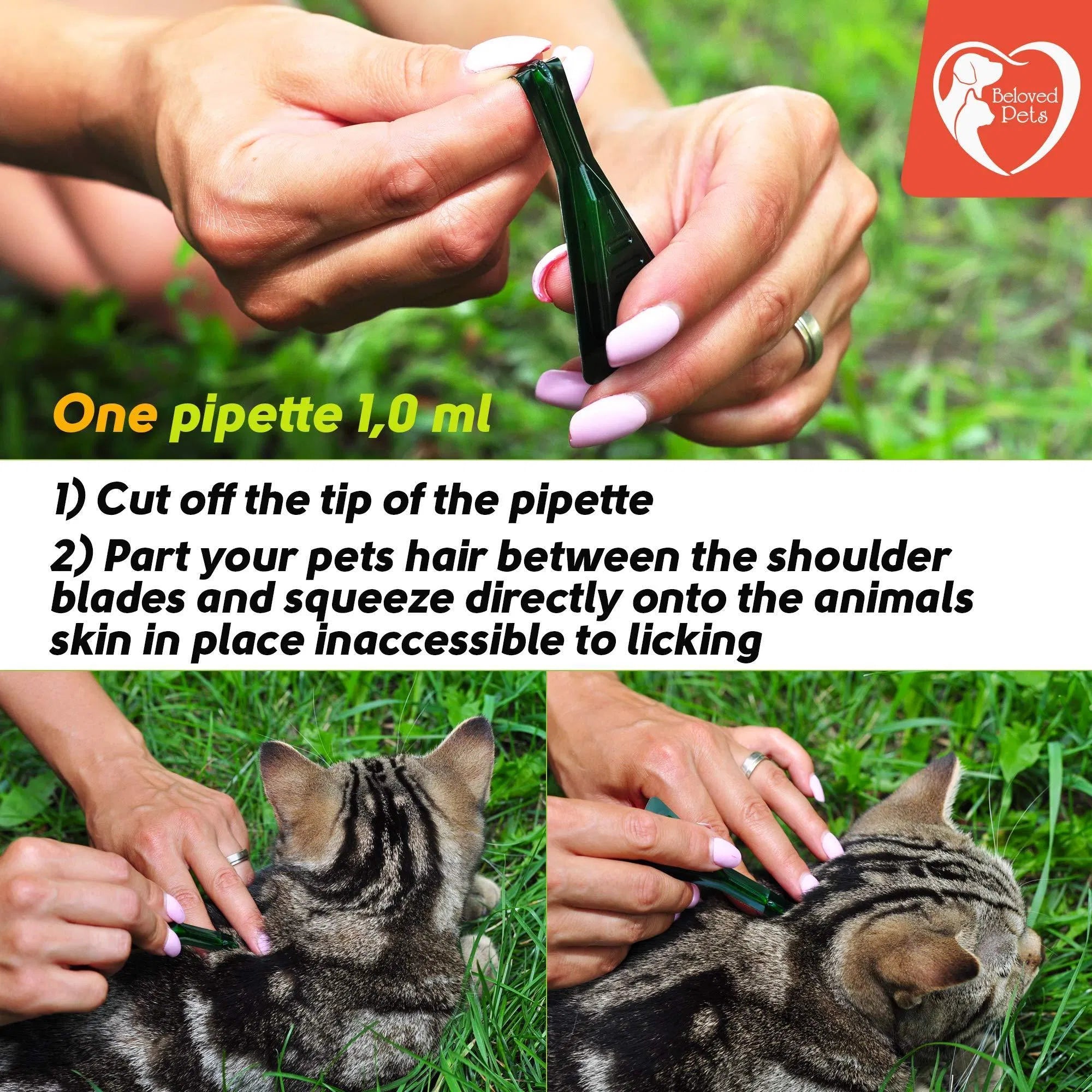 Flea And Tick Prevention For Dogs Cats Rabbits Natural Flea Treatment Home Pest Control Topical Flea Mosquito Repellent For Puppy Kitten 3 Drops For Small And Large Pet cs06jp-nn.myshopify.com