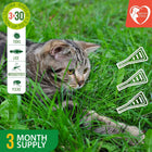 Flea And Tick Prevention For Dogs Cats Rabbits Natural Flea Treatment Home Pest Control Topical Flea Mosquito Repellent For Puppy Kitten 3 Drops For Small And Large Pet cs06jp-nn.myshopify.com