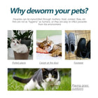 Flea Medication for Dogs – Vet-Approved Fast-Acting Treatment cs06jp-nn.myshopify.com