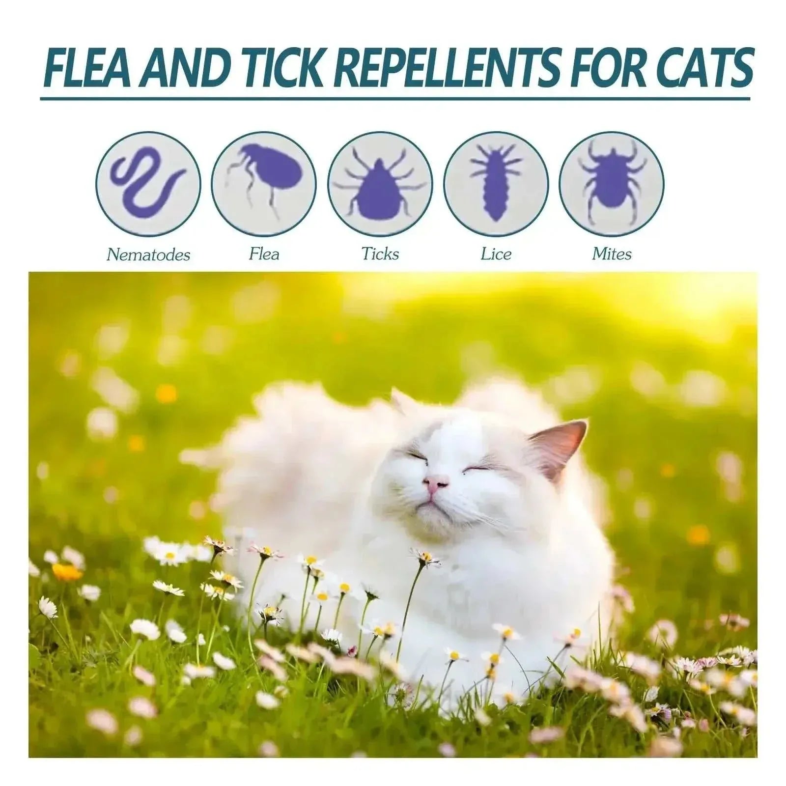 Flea Medication for Dogs – Vet-Approved Fast-Acting Treatment cs06jp-nn.myshopify.com