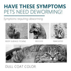 Flea Medication for Dogs – Vet-Approved Fast-Acting Treatment cs06jp-nn.myshopify.com