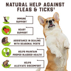 Flea and Tick Prevention Chewable for Dogs No Collars Needed cs06jp-nn.myshopify.com