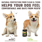 Flea and Tick Prevention Chewable for Dogs No Collars Needed cs06jp-nn.myshopify.com