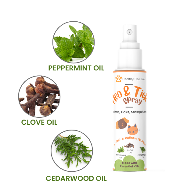 Flea and Tick Shampoo for Pets cs06jp-nn.myshopify.com