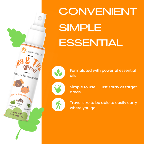 Flea and Tick Shampoo for Pets cs06jp-nn.myshopify.com