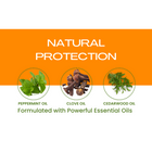 Flea and Tick Shampoo for Pets cs06jp-nn.myshopify.com