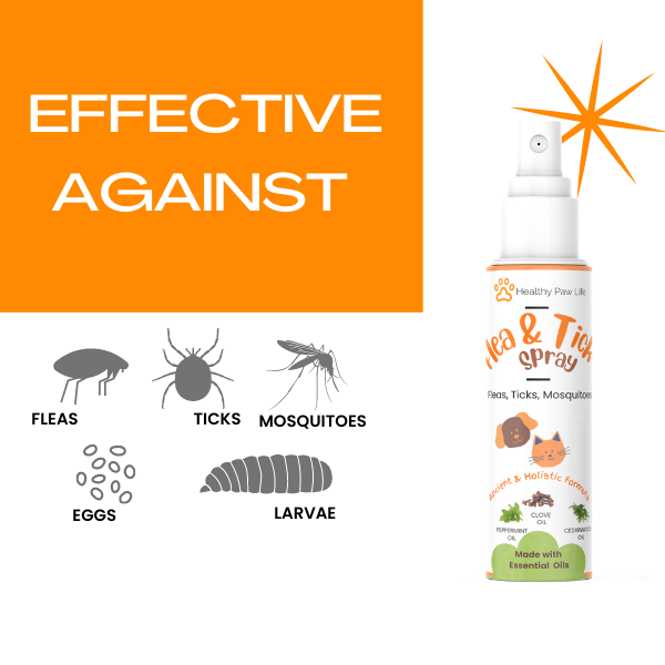 Flea and Tick Shampoo for Pets cs06jp-nn.myshopify.com