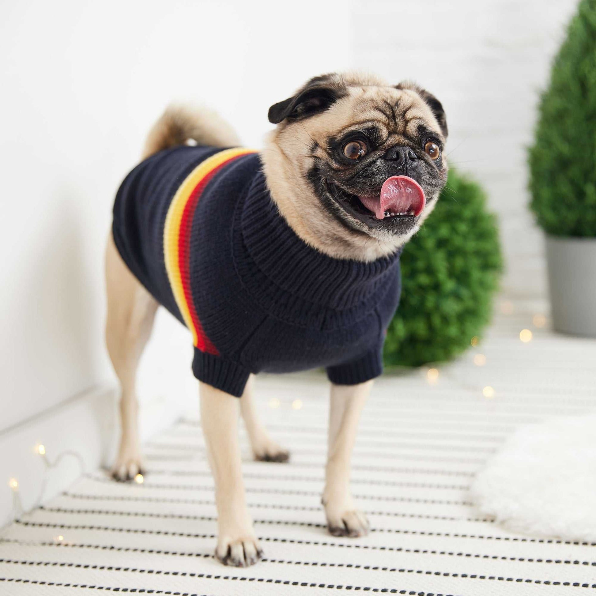 Navy retro sweater for dogs with sculpted turtleneck and ribbed arm holes