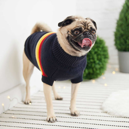 Navy retro sweater for dogs with sculpted turtleneck and ribbed arm holes