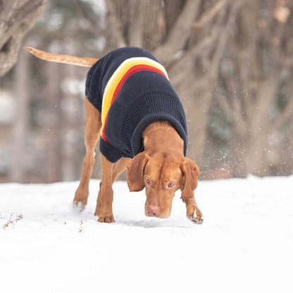 Navy retro sweater with sculpted turtleneck and GF PET logo patch for dogs