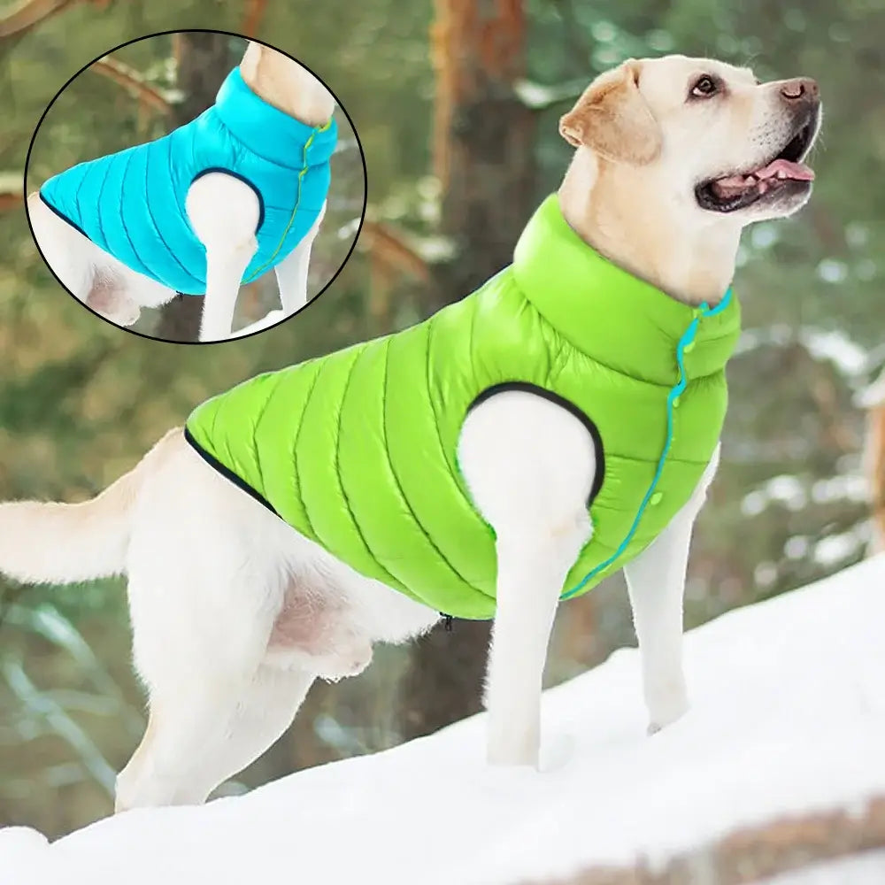 Dog winter jacket