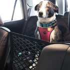 High Quality Premium Pet Car Net Petition cs06jp-nn.myshopify.com