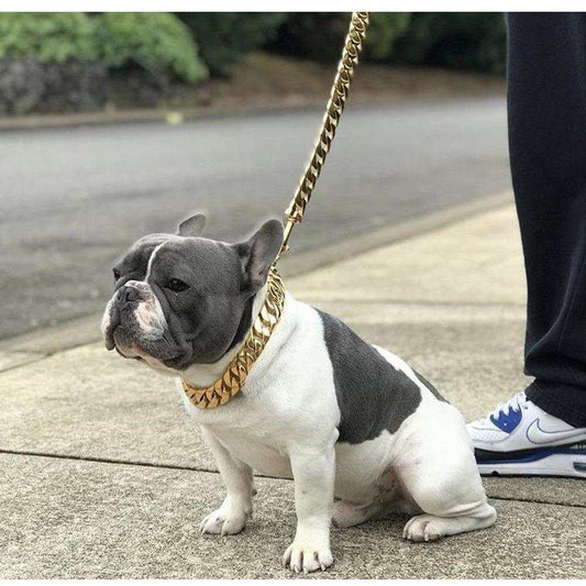 Kilo Cuban Link luxury dog leash plated in 14K gold for XL dogs
