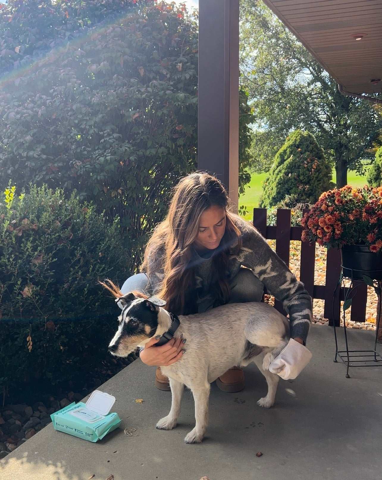 Pet Glove Wipes with natural aloe vera, jojoba oil, and witch hazel for cleaning and soothing pets