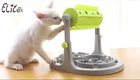 Interactive Pet Food Bowl Puppy Slow Feeder Puzzle Toy Feed For Dog cs06jp-nn.myshopify.com