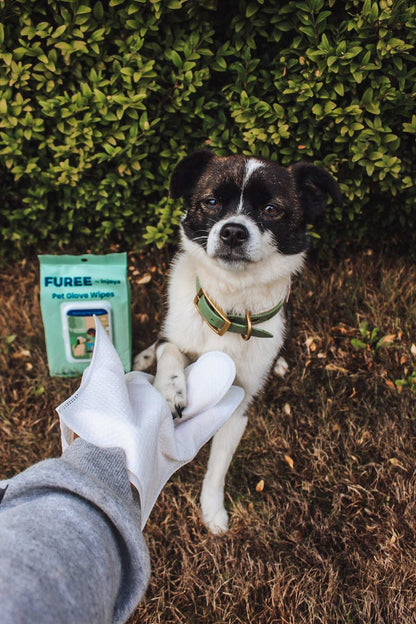 Pet Glove Wipes with natural aloe vera, jojoba oil, and witch hazel for gentle pet cleaning and skin soothing