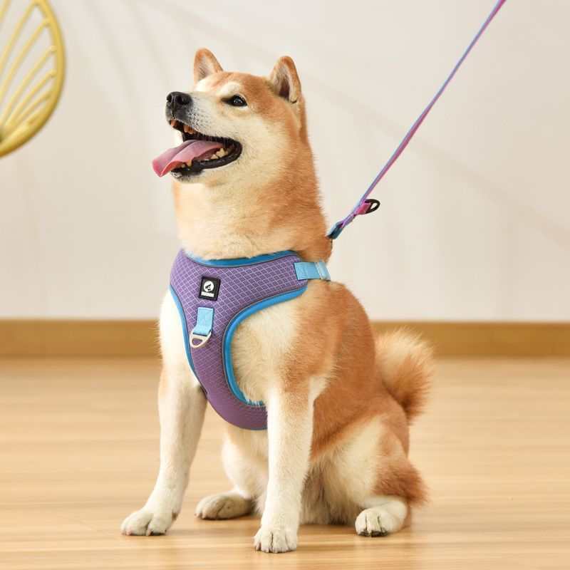 Pet Dog Harness Puppy Adjustable Breathable Mesh Reflective Saddle For cs06jp-nn.myshopify.com