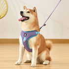 Pet Dog Harness Puppy Adjustable Breathable Mesh Reflective Saddle For cs06jp-nn.myshopify.com
