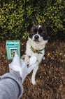 Pet Glove Wipes cs06jp-nn.myshopify.com
