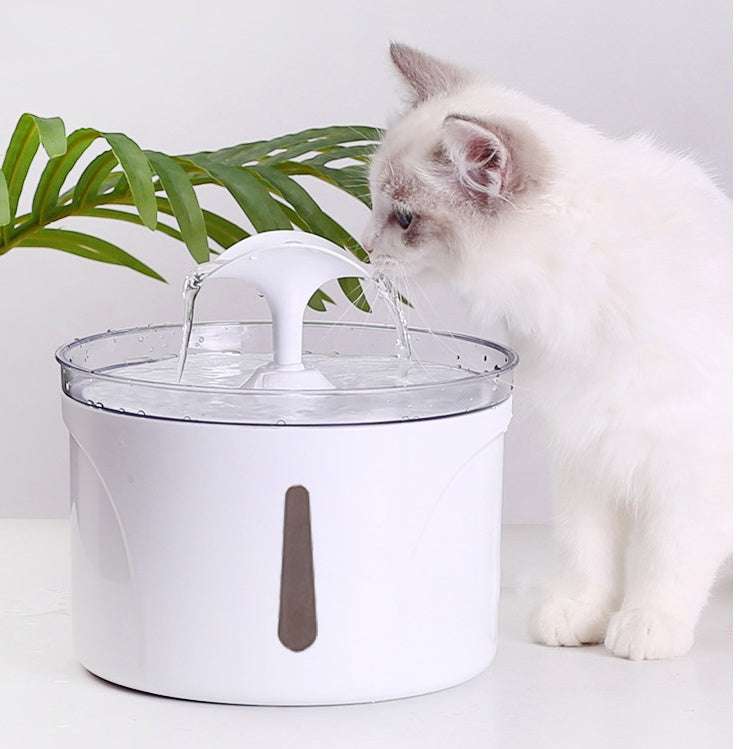 Pet Water Dispenser Intelligent Automatic Circulating Filter Water Dispenser cs06jp-nn.myshopify.com