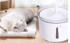 Pet Water Dispenser Intelligent Automatic Circulating Filter Water Dispenser cs06jp-nn.myshopify.com