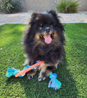 Rubber Bone Dog Chew Toy with Tug Rope -- Great for Active Dogs cs06jp-nn.myshopify.com