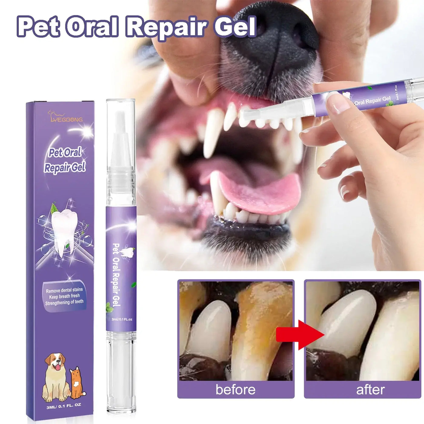 Dog Dental Care 