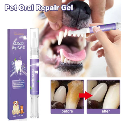 Dog Dental Care 