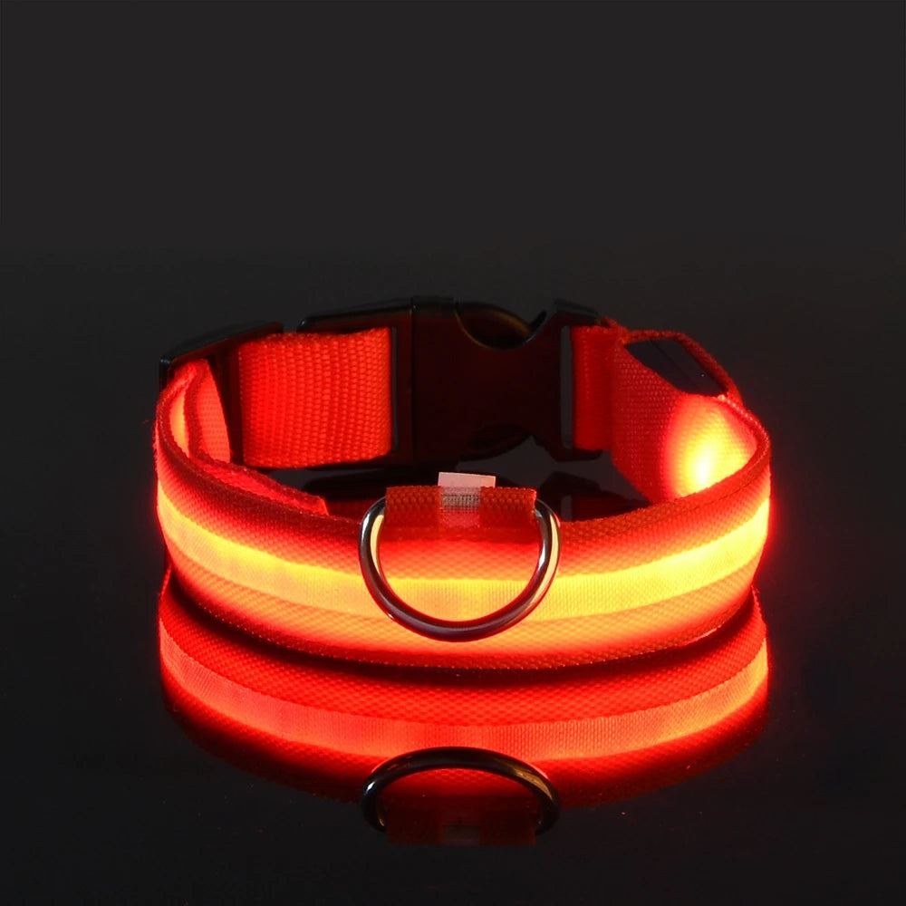 Dog Leash Dogs Luminous Fluorescent Pet Dog Colla