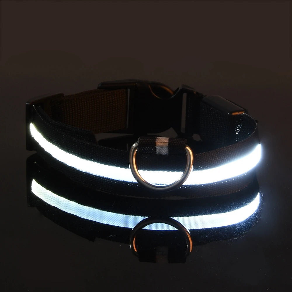 Dog Leash Dogs Luminous Fluorescent Pet Dog Colla
