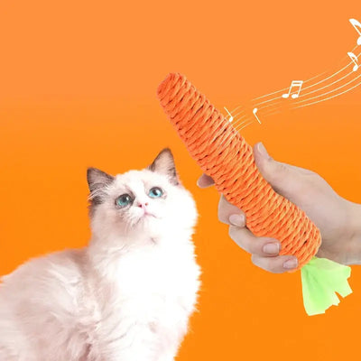 pet cat toy