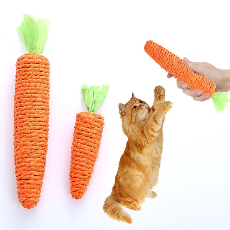 pet cat toy