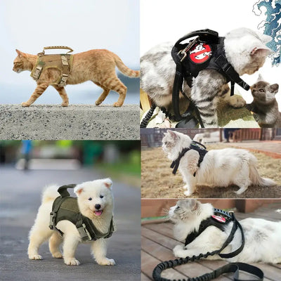 cat harness
