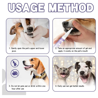 Dog Dental Care 