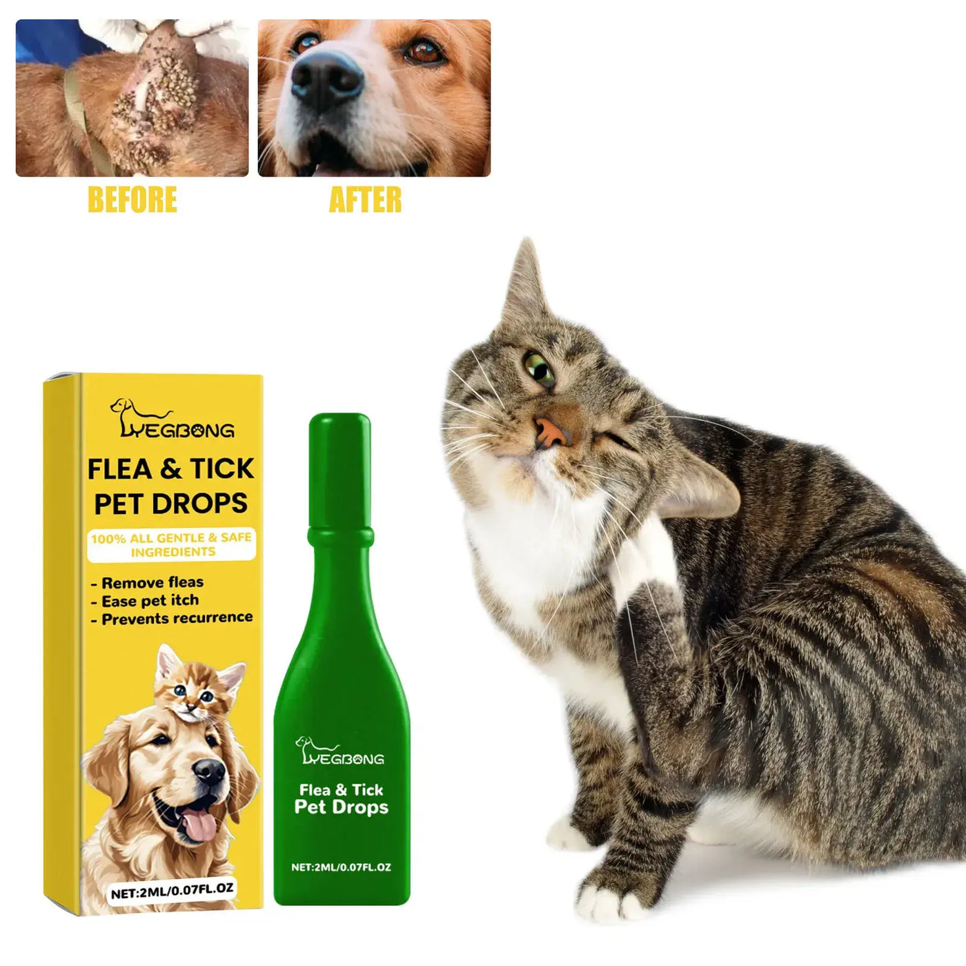 treatment for cats
