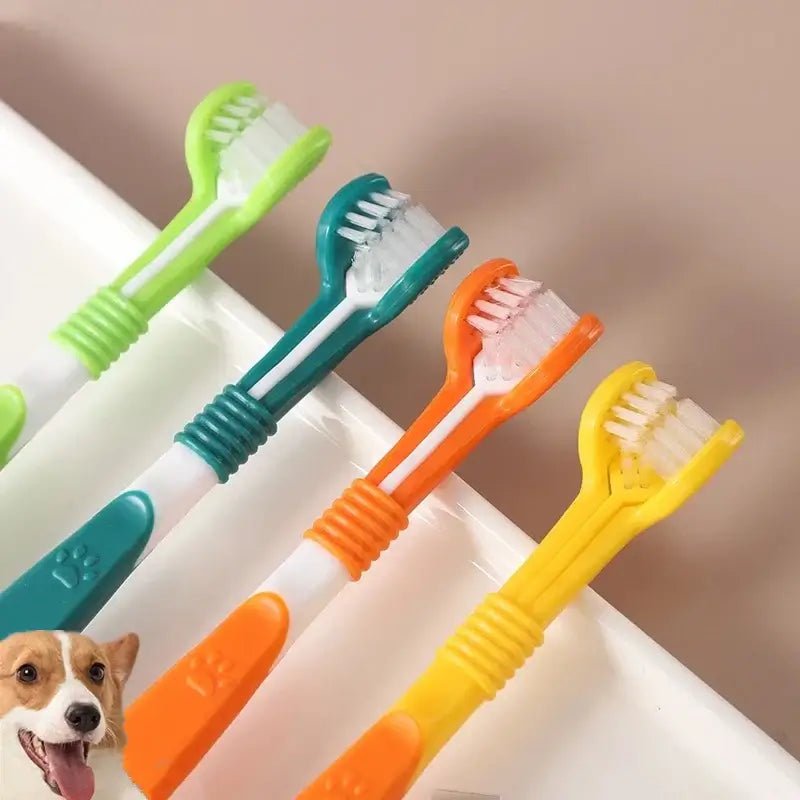 dog dental care