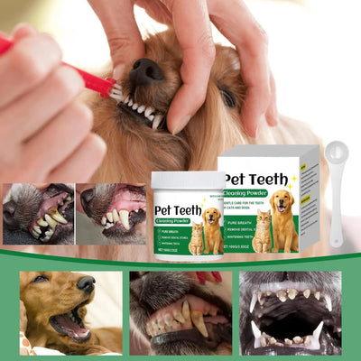Teeth Powder For Dogs Dog Bad Breath Remove