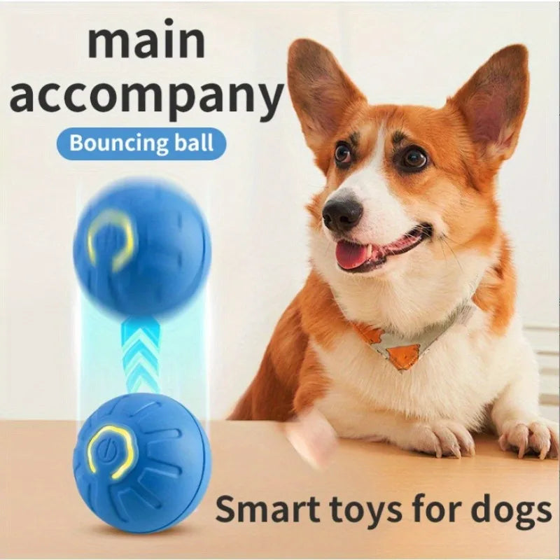 Jumping Ball Electric Charging Dog