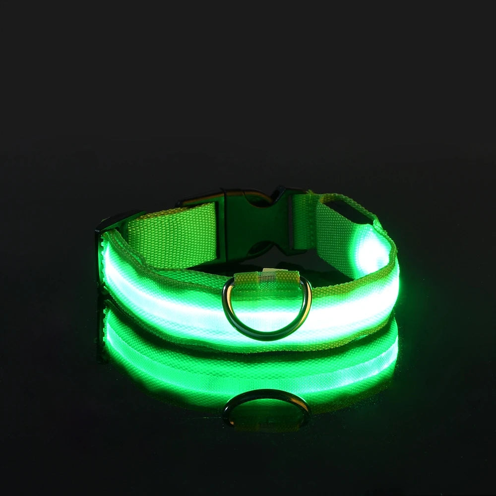 Dog Leash Dogs Luminous Fluorescent Pet Dog Colla