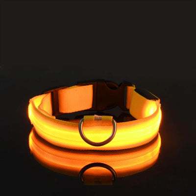 Dog Leash Dogs Luminous Fluorescent Pet Dog Colla