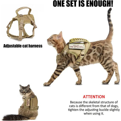 cat harness