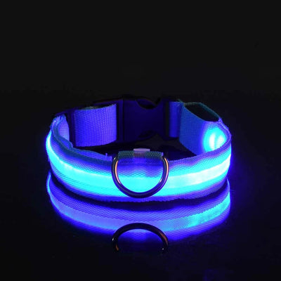 Dog Leash Dogs Luminous Fluorescent Pet Dog Colla