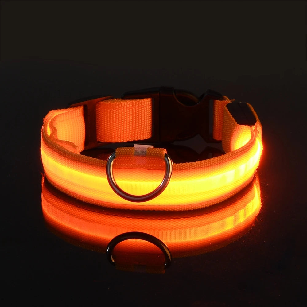 Dog Leash Dogs Luminous Fluorescent Pet Dog Colla