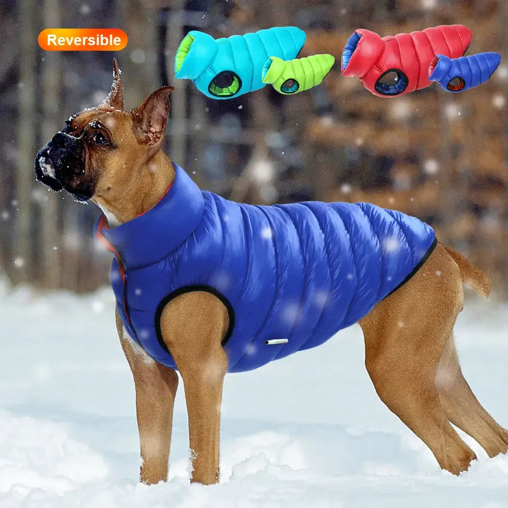 Dog winter jacket