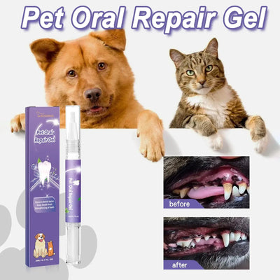 Dog Dental Care 