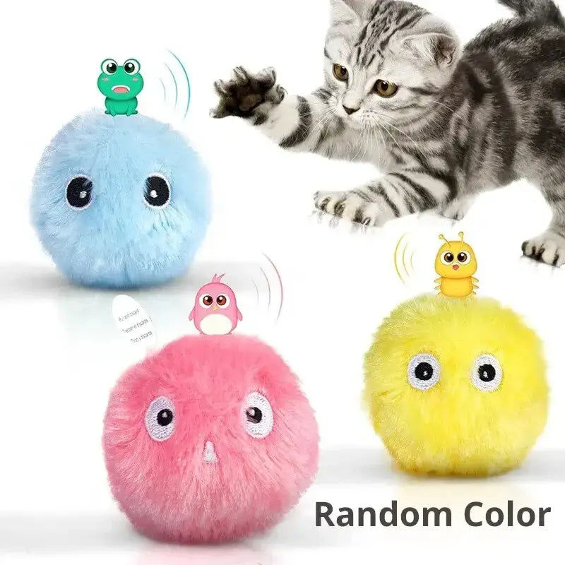 Interactive cat toy