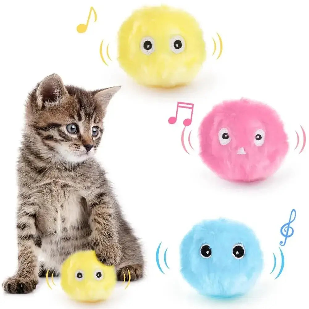 Interactive cat toy