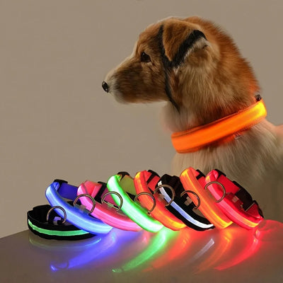 Dog Leash Dogs Luminous Fluorescent Pet Dog Colla