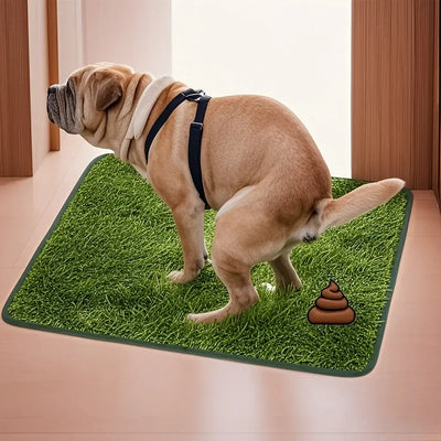 Grass Pee for Dog